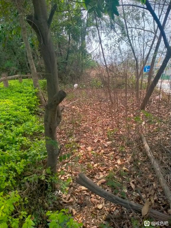 ”今天捡垃圾的图片