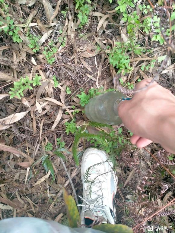 ”今天捡垃圾的图片