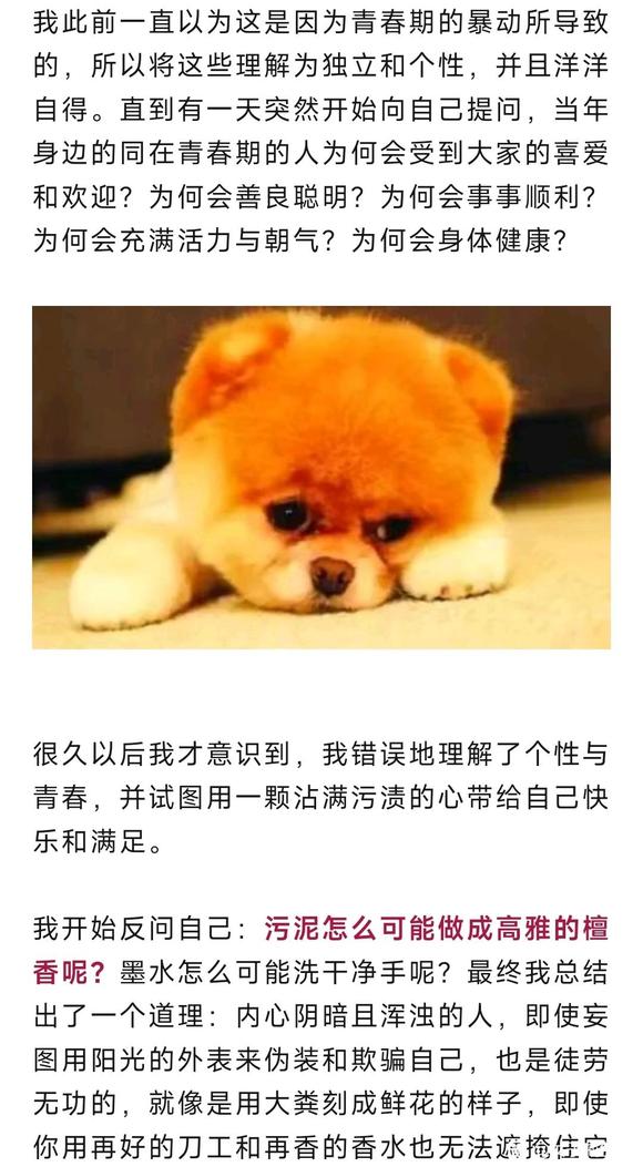 ”再劝行孝戒色！