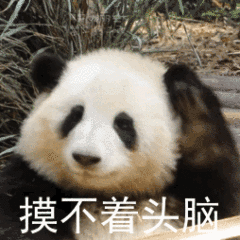 ”大佬们，我又来了……求助……