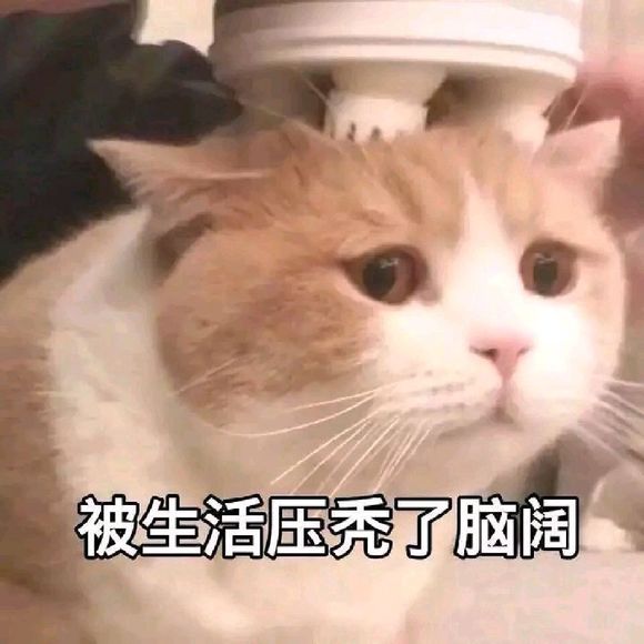 ”师兄们，我现在每隔3～4天遗一次前列腺液怎么整？已经一个多月