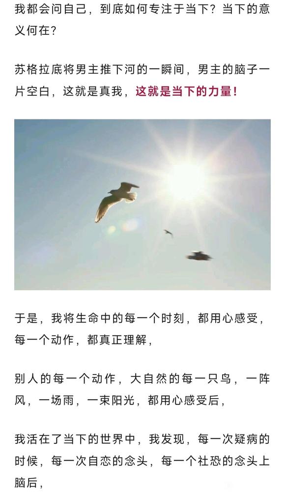 ”“675天，做你内心的勇士-读《深夜加油站遇见苏格拉底》有感”