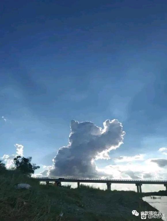 ”不要沉溺于短期反馈的快感