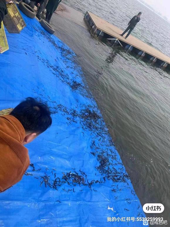 ”有没有长春的戒友呀