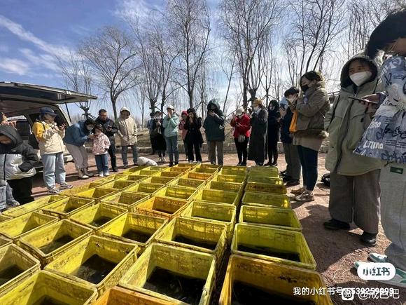 ”有没有长春的戒友呀