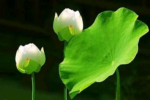 ”常做此事令我容貌气质越来越好