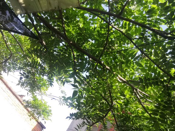 ”戒色第76天，19天未遗jing，我会继续坚持下去的✊