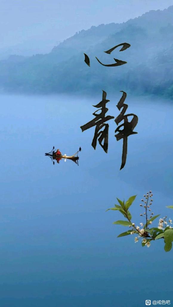 ”2024，戒戒戒！