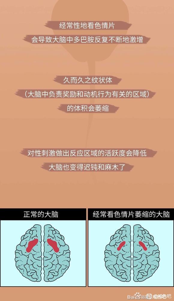 ”色情意淫对人大脑神经的损伤，对生殖、呼吸系统的损伤