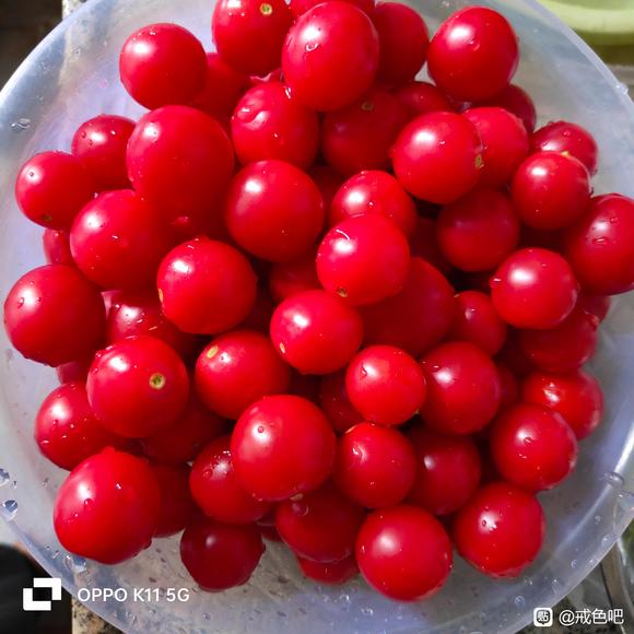 ”PC破戒忏悔日