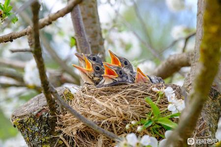 ”戒友们要戒杀