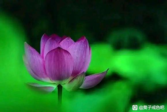 ”戒邪淫，福报