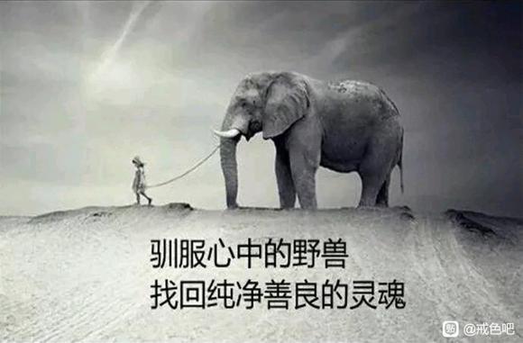 ”我是这样战胜y魔的