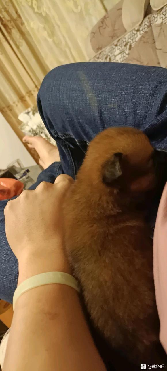 ”忍不住看了片。