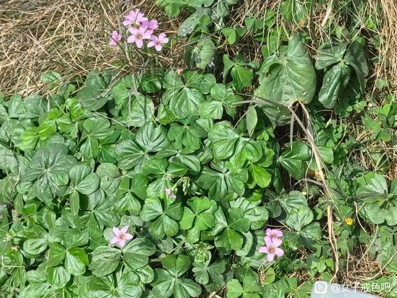 ”感恩万物所有，戒除邪淫一定行