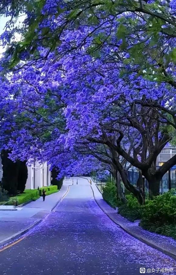 ”天下无不是的父母（戒色笔记）