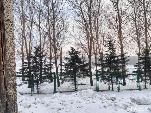 ”戒色15天，该怎么锻炼啊？