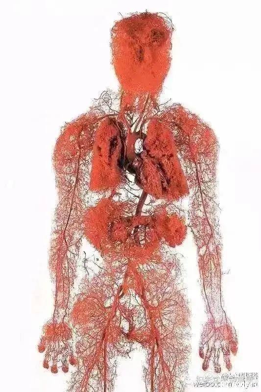 ”实用戒色心法