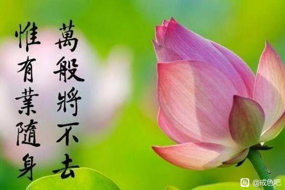 ”新婚纵欲身亡