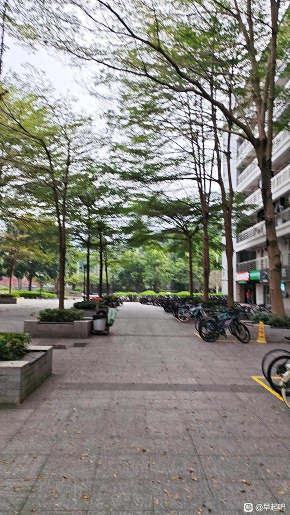 ”早起吧起吧起吧起吧