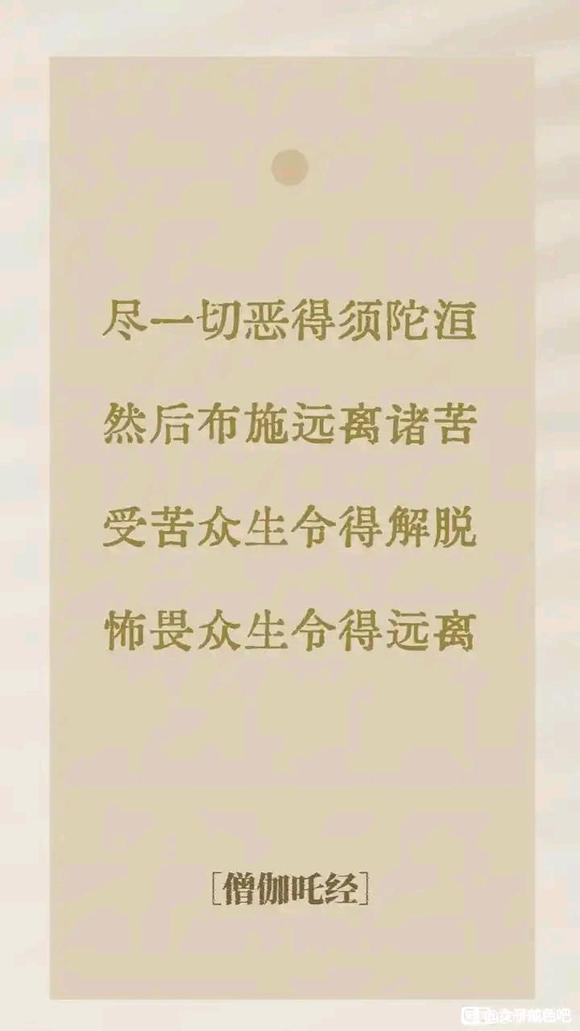 ”我忏悔，皈依三宝