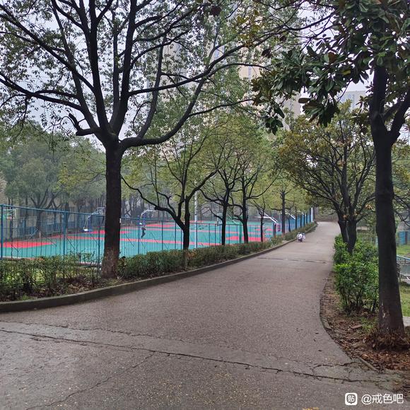 ”戒导第九天，忍不住了