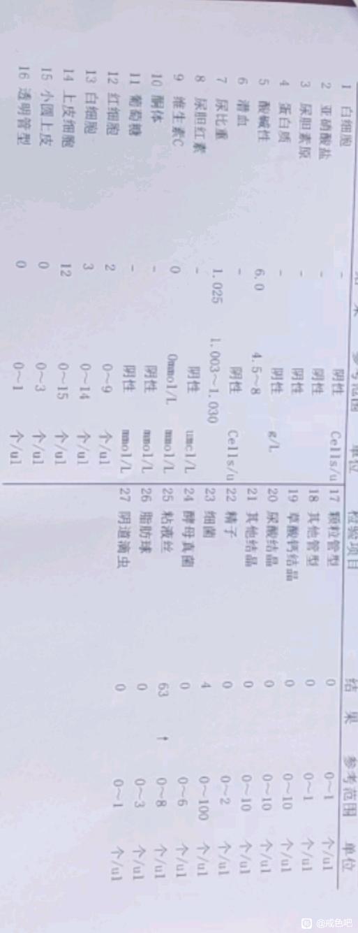 ”有会看体检报告的前辈吗