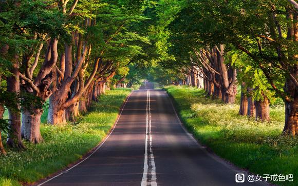 ”伤精的表现（5）