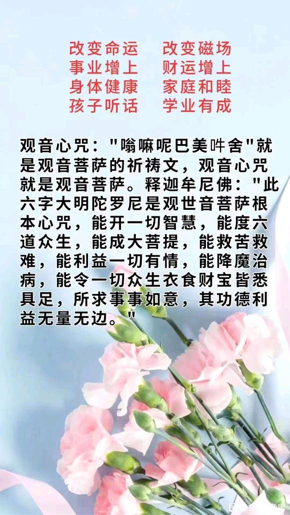 ”来忏悔这昏昏噩噩的二十几年