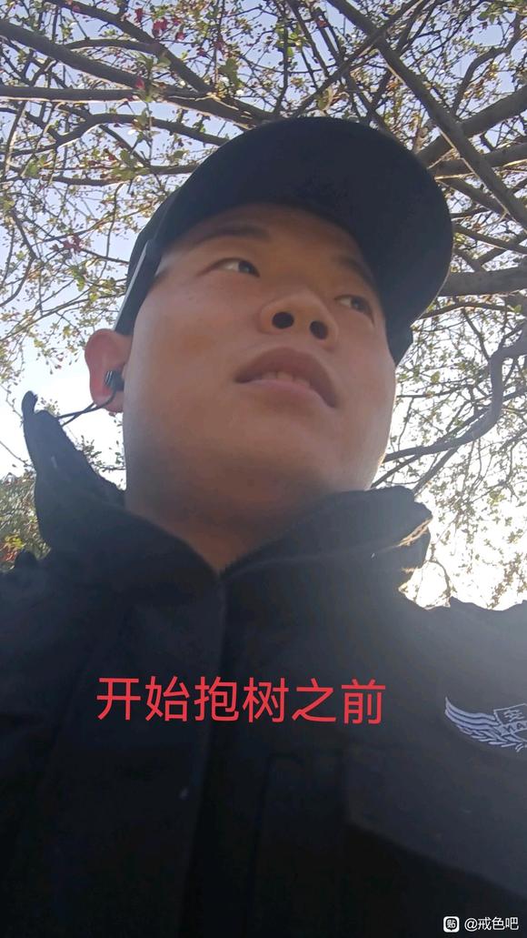 ”树疗的效果真的太好了