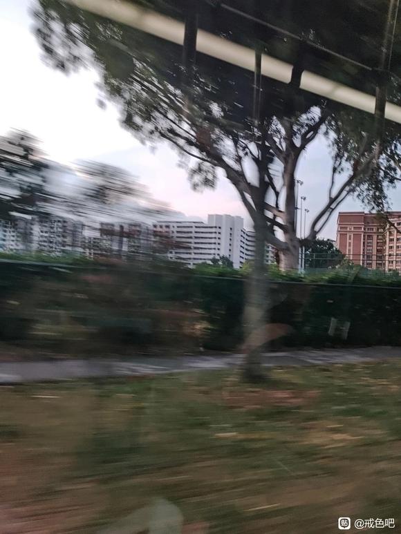 ”#微信看病卖药是假的#戒色日记.