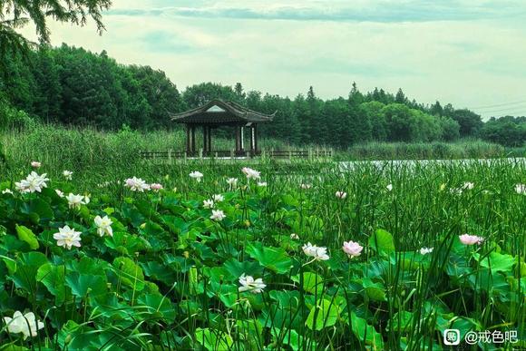 ”戒色没有为什么，只是更爱自己