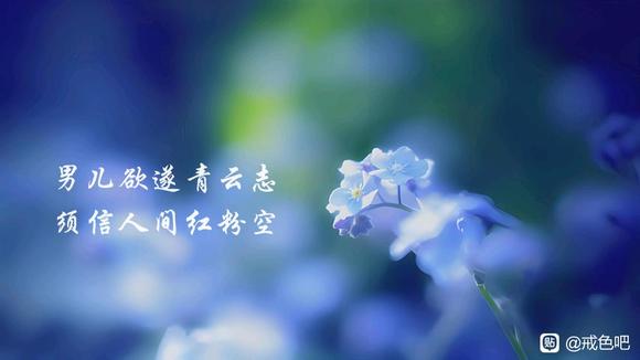 ”在此立誓，老子必须戒手冲