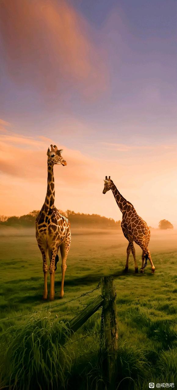 ”【戒色心得】谐音导致多梦，小心身体出现更大问题精报！