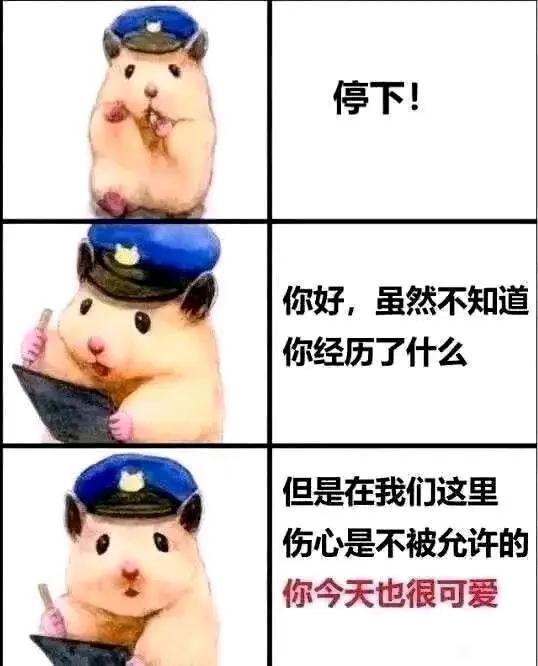 ”戒友看到请停下
