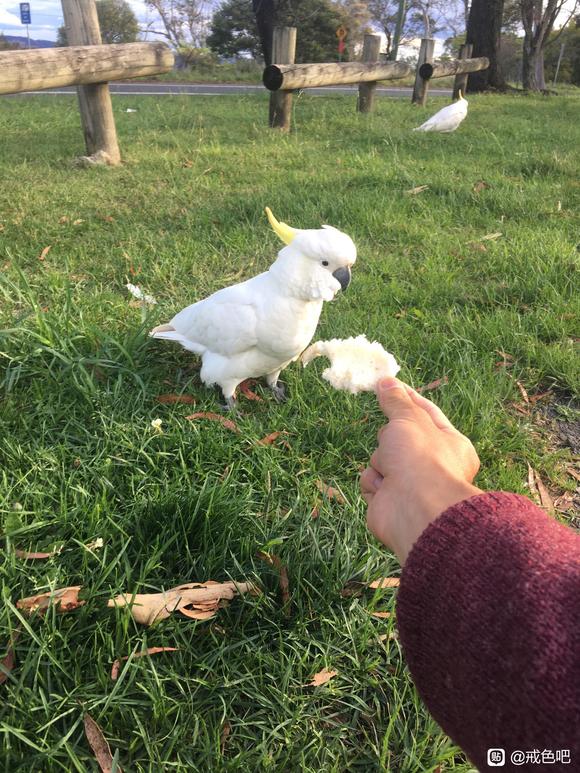 ”送给各位戒友的生日礼物-今天自己已经24岁了