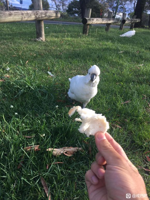 ”送给各位戒友的生日礼物-今天自己已经24岁了