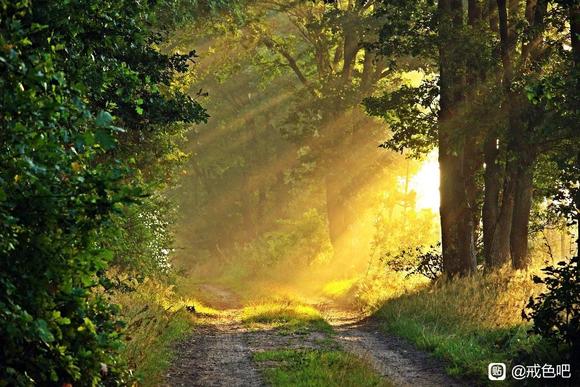 ”关于戒se，前辈给你指路，怎么走就看你自己