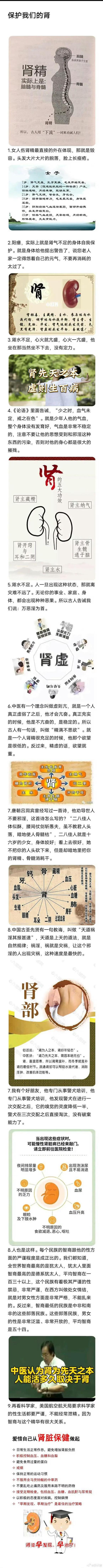 ”转载微博关于肾的图片