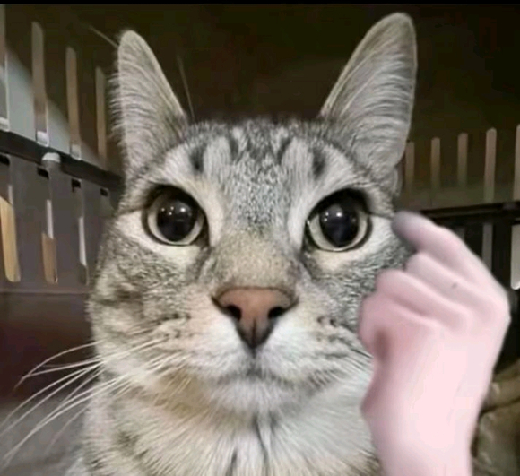 ”此帖为证，今日开始戒色