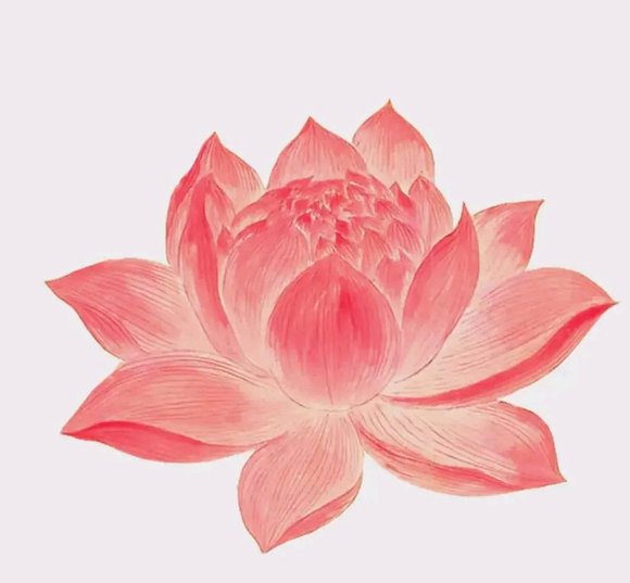 ”什么是H源？我认为H源不单单是色情影片，他还包括擦边，擦边属