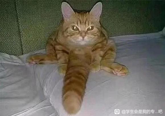 ”戒色之后被反噬了