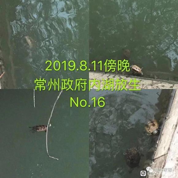 ”我从负债几十万，到三个月挣22万（转载）