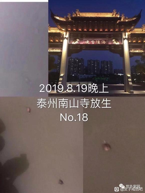 ”我从负债几十万，到三个月挣22万（转载）