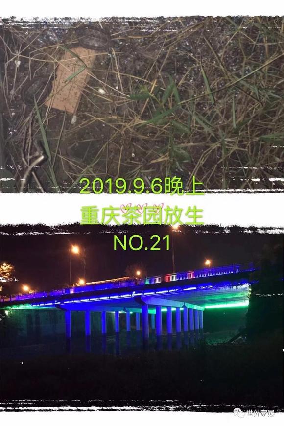 ”我从负债几十万，到三个月挣22万（转载）