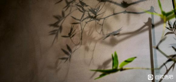 ”【戒色心得】学习戒德老师的笔记