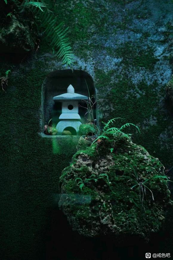 ”【戒色心得】如何对治戒油子