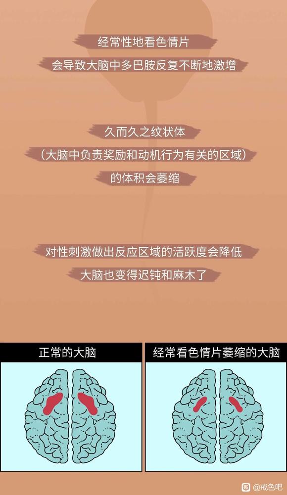 ”色情片伤害人体的全过程曝光