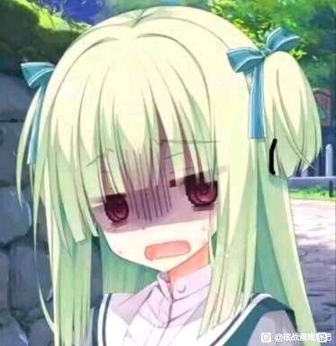 ”生不戒色，死不停撸