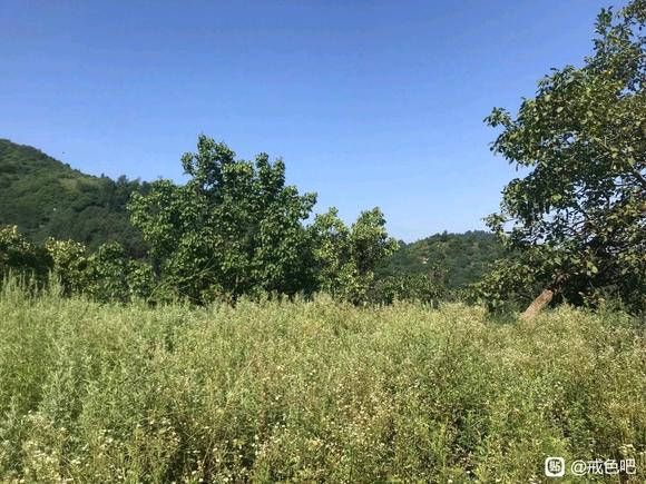 ”#微信看病卖药是假的#偶然发现深山小院子